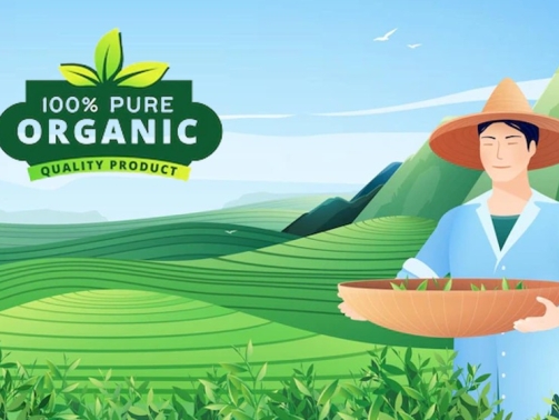 Best_Organic_food-A_Organic_Healthy_Lifestyle_-_NaturelandOrganics